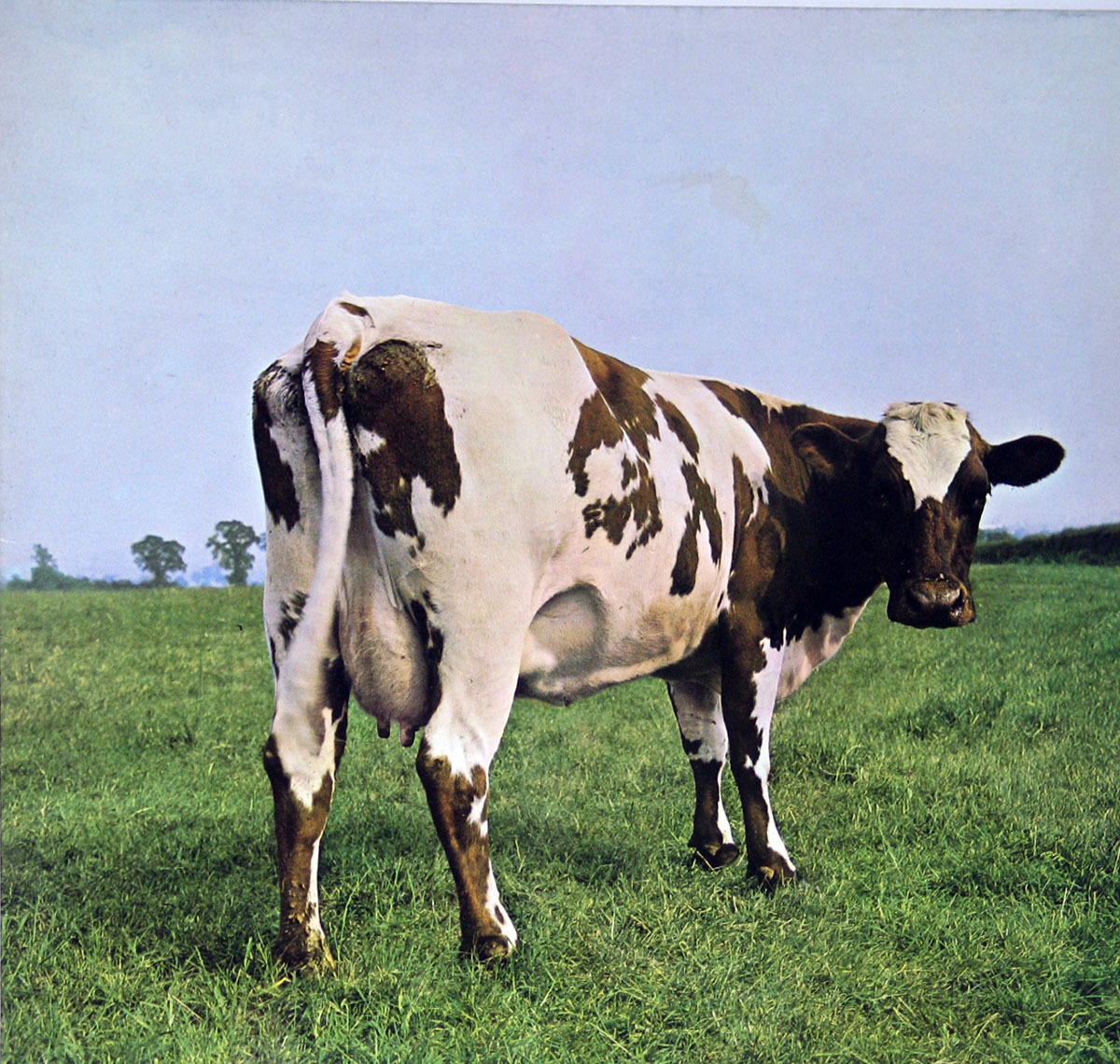 High Resolution Photo #1 PINK FLOYD Atom Heart Germany DE74-2 